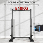 Dip Barren Dip Station Bis 540 Kg Höhenverstellb